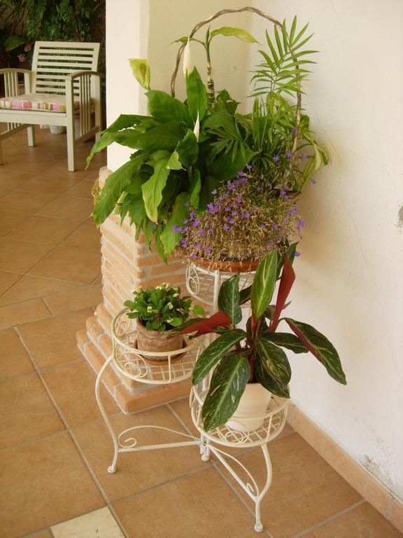 B&B Il Cantico Greccio Habitación foto